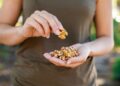 Research reveals that consuming walnuts during pregnancy significantly improves neurodevelopmental outcomes in two-year-olds
