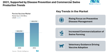 Porcine Vaccine Market Forecast to Reach 4.73 billion by 2031, Supported by Disease Prevention and Commercial Swine Production Trends