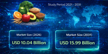 Food Fibers Market Size to Reach USD 15.99 Billion by 2031 | Key Trends and Growth Insights