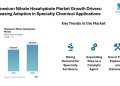 Magnesium Nitrate Hexahydrate Market Projected at USD 1.02 Billion by 2030 | Applications in Agrochemicals, Explosives, and Wastewater Treatment