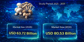 Fresh Mushrooms Market Size to Reach USD 80.53 Billion by 2031: Key Trends and Growth Drivers