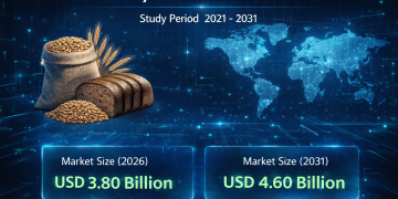 Rye Market Size to Reach USD 4.60 Billion by 2031 – Says, Mordor Intelligence