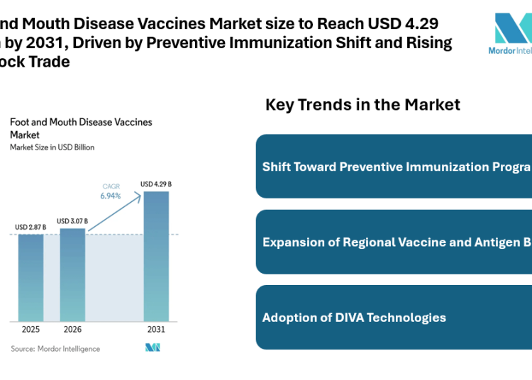 Foot and Mouth Disease Vaccines Market size to Reach USD 4.29 Billion by 2031, Driven by Preventive Immunization Shift and Rising Livestock Trade